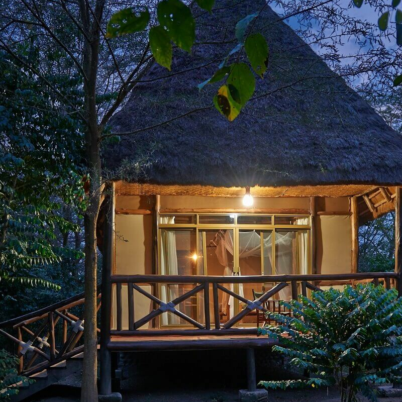 Ishasha Jungle Lodge