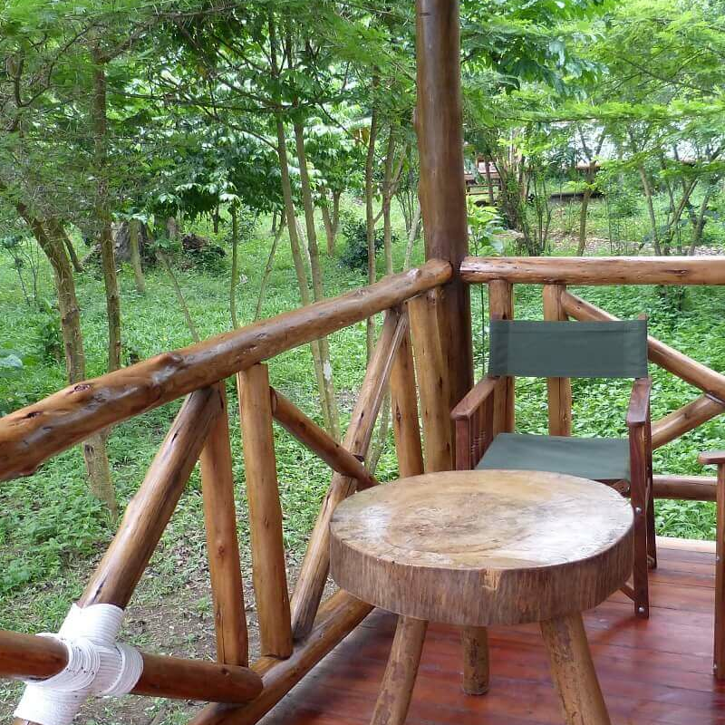 Ishasha Jungle Lodge