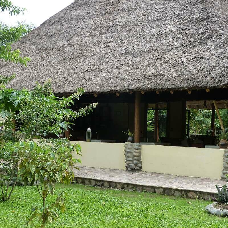 Ishasha Jungle Lodge