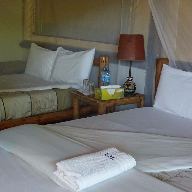 Ishasha Jungle Lodge