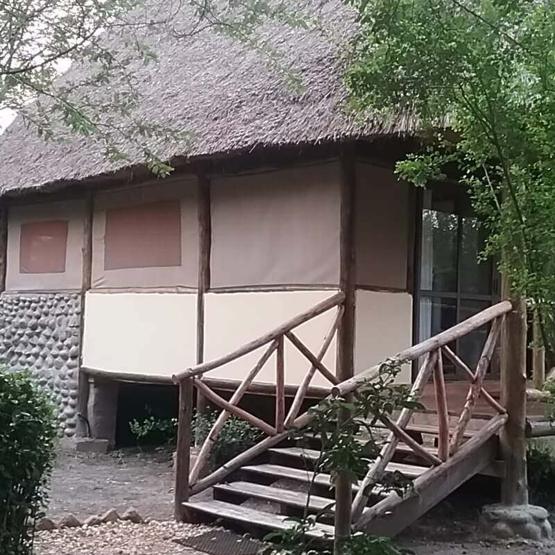 Ishasha Jungle Lodge