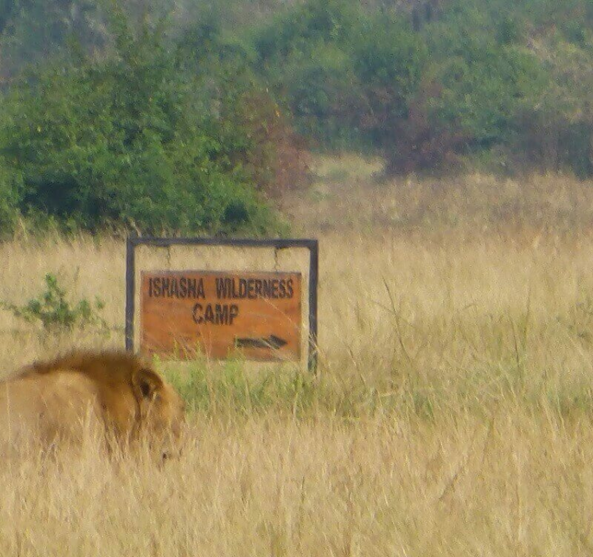 Ishasha Wilderness Camp