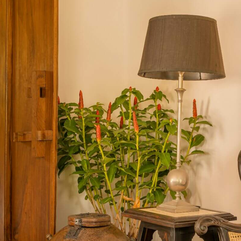 Ishq Luxury Villas