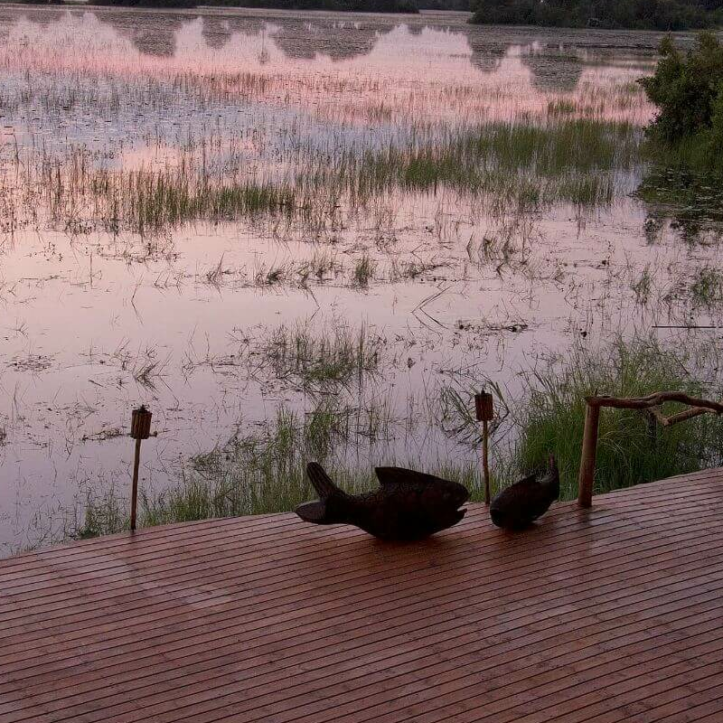 Jacana Camp