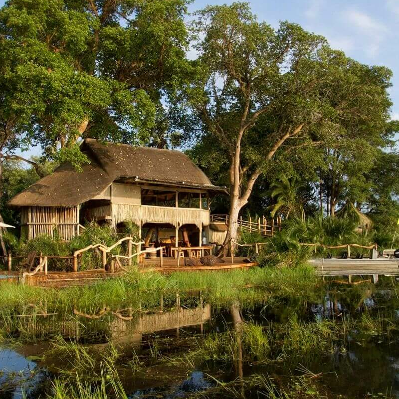 Jacana Camp