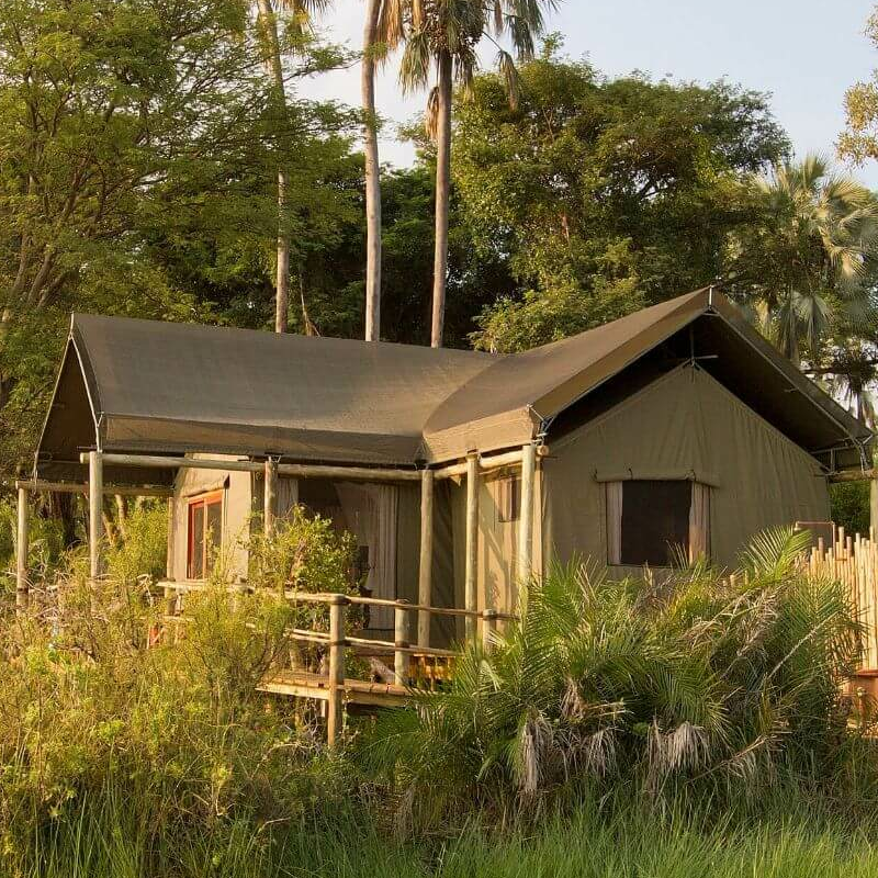Jacana Camp