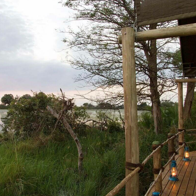 Jacana Camp