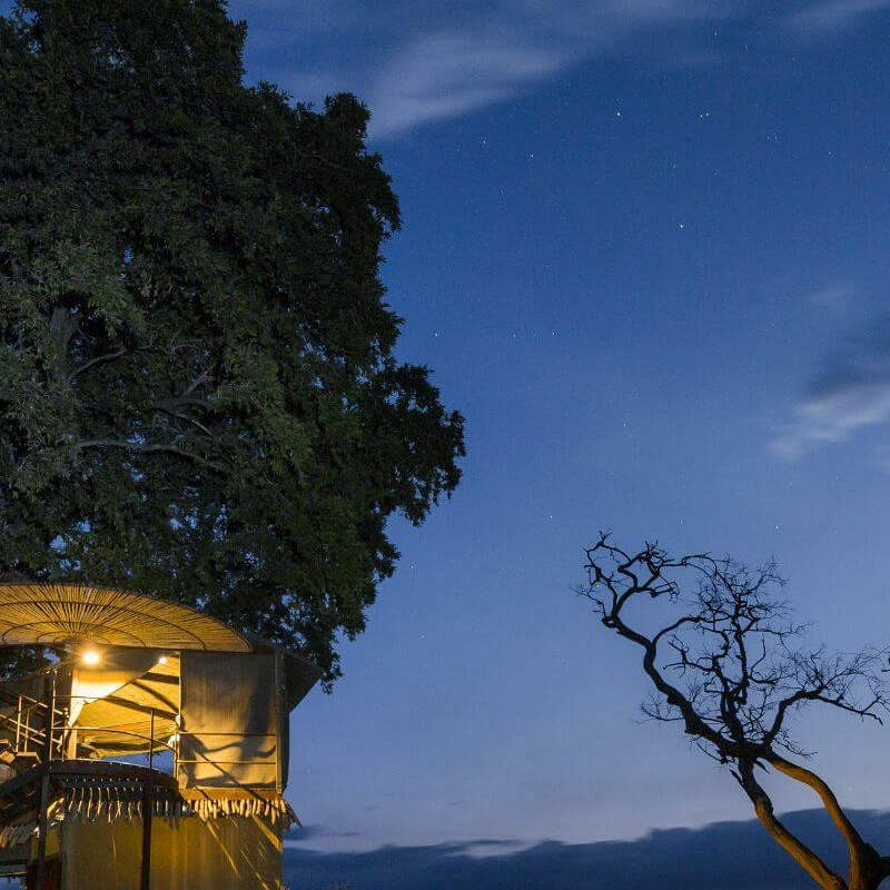 Jackalberry Tented Camp