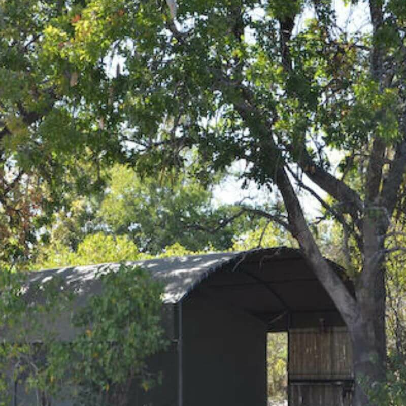 Jackalberry Tented Camp