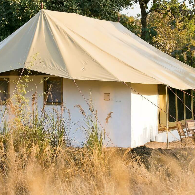 Jamtara Wilderness Camp