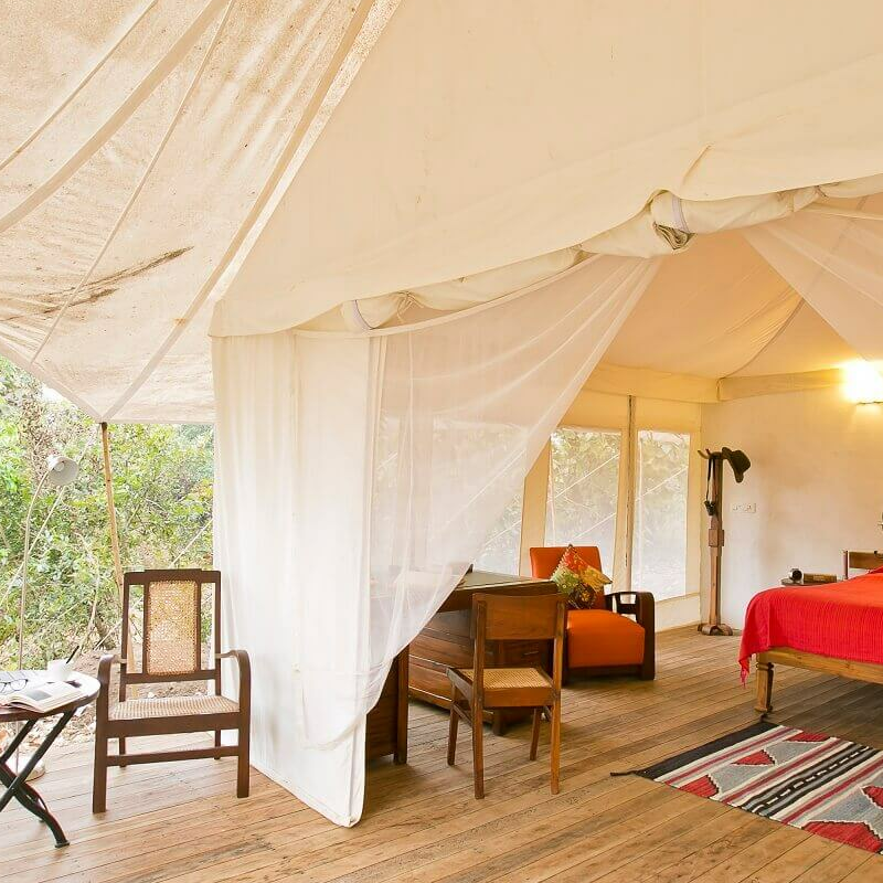 Jamtara Wilderness Camp