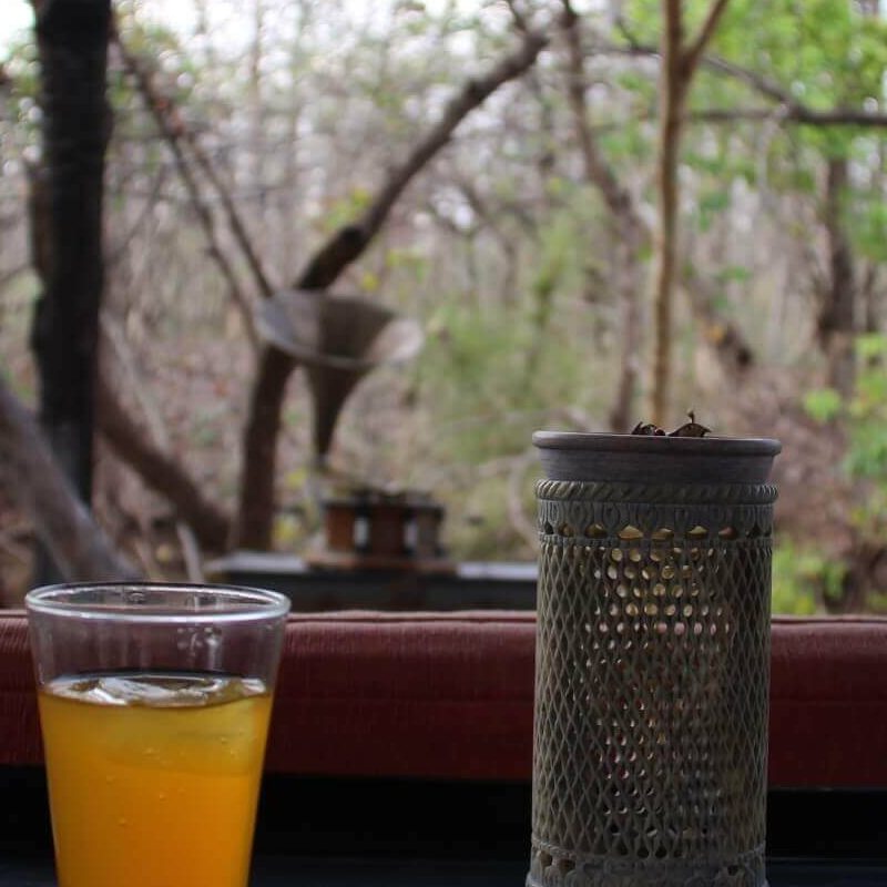 Jamtara Wilderness Camp