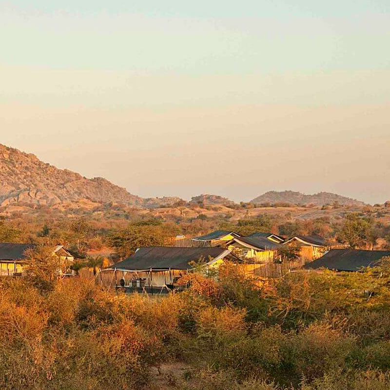 Jawai Leopard Camp
