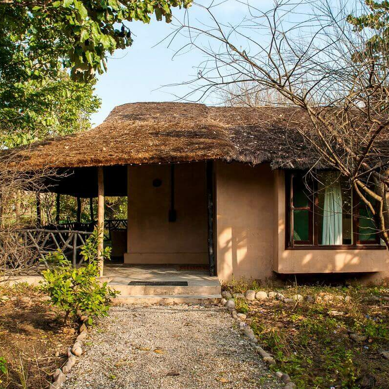 Jim’s Jungle Retreat