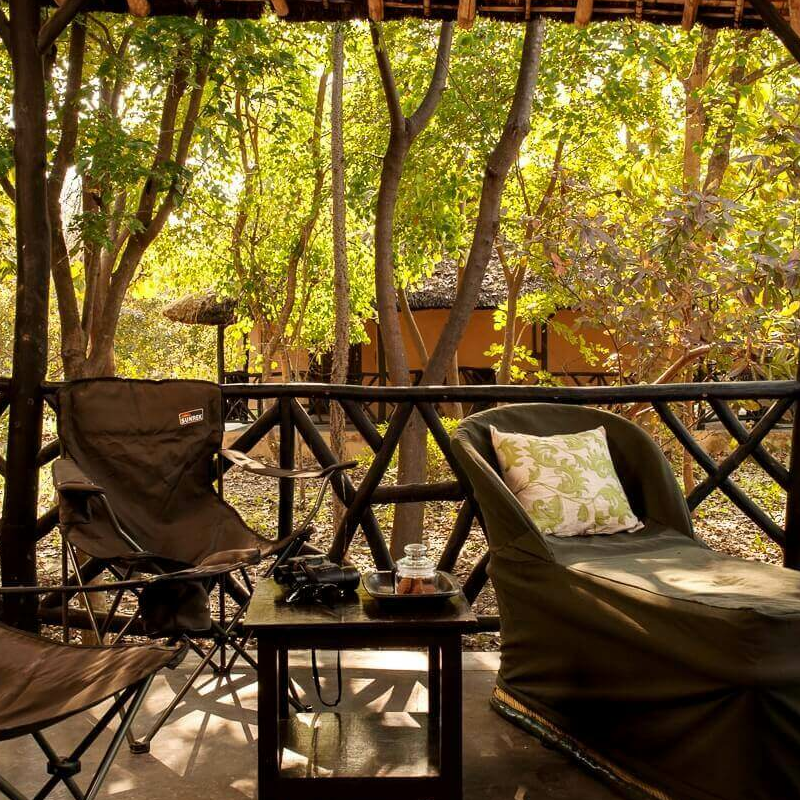 Jim’s Jungle Retreat