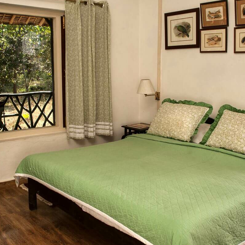 Jim’s Jungle Retreat