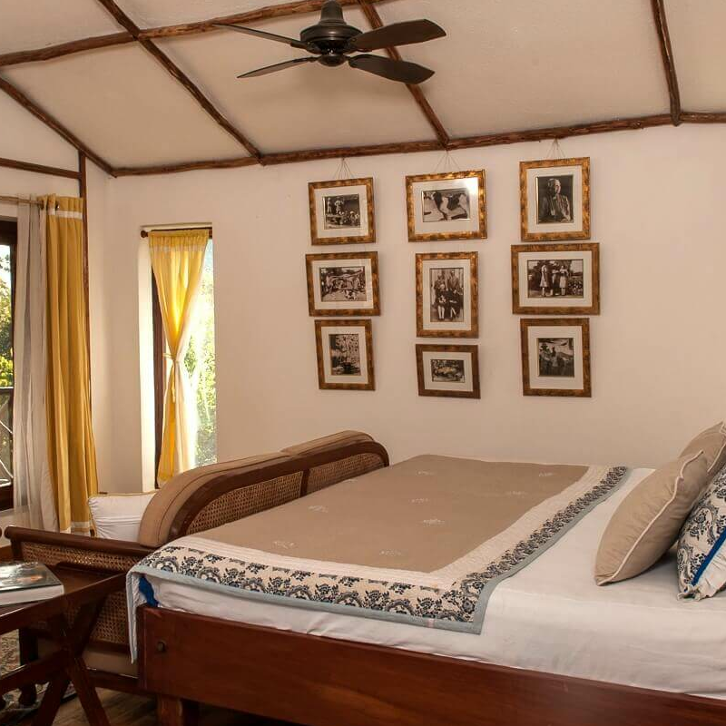 Jim’s Jungle Retreat