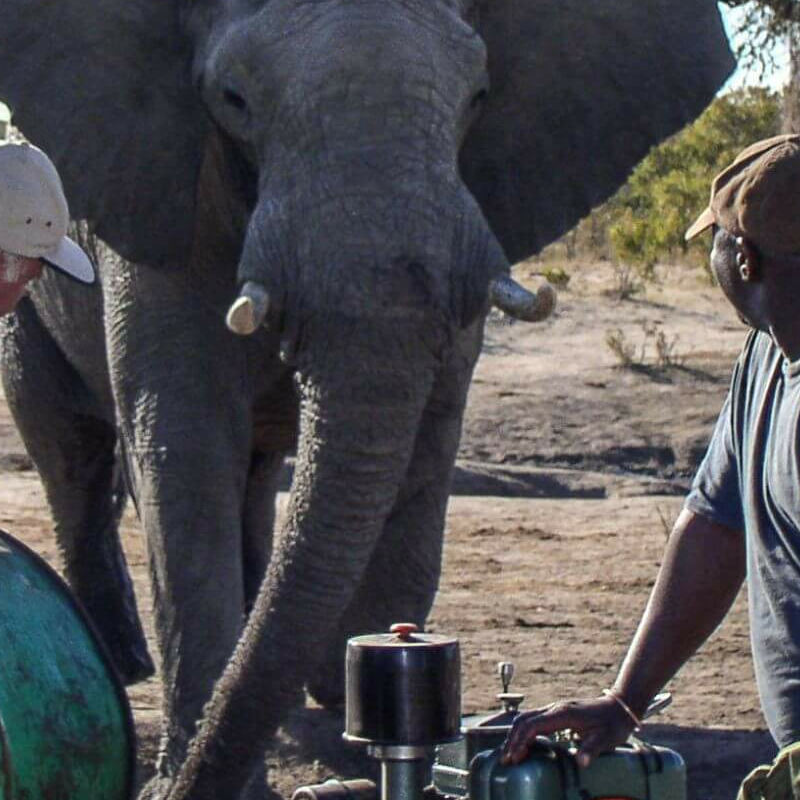 Jozibanini Camp