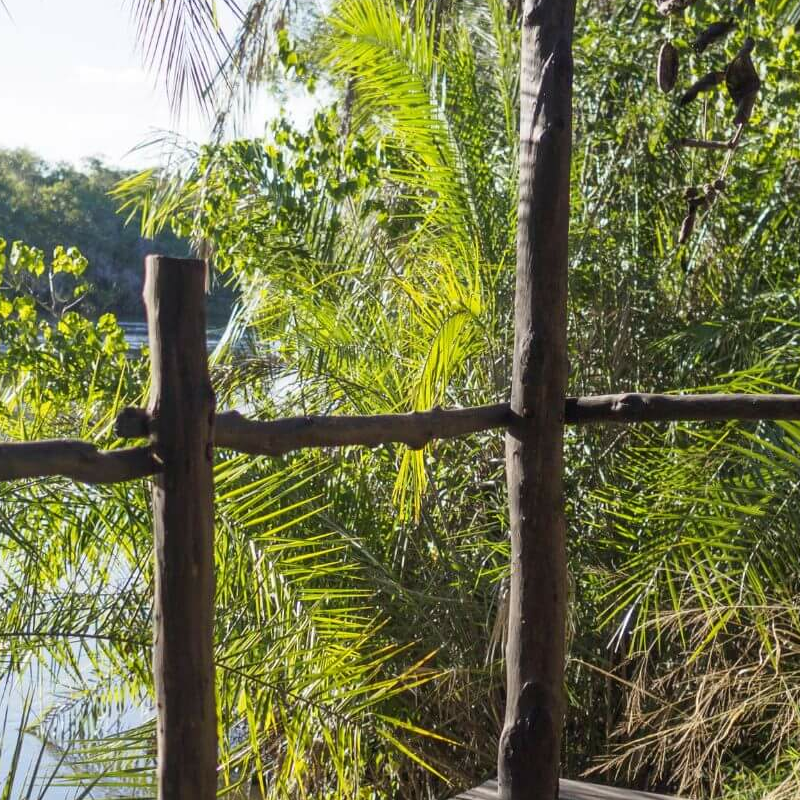 Kaingu Safari Lodge