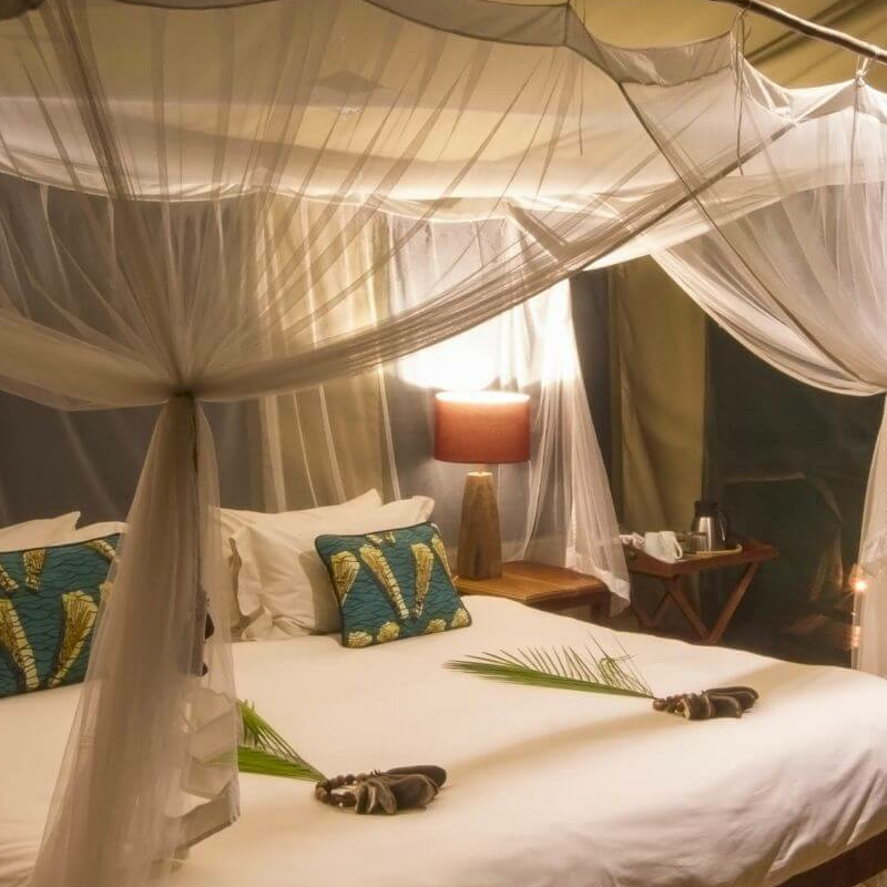 Kaingu Safari Lodge