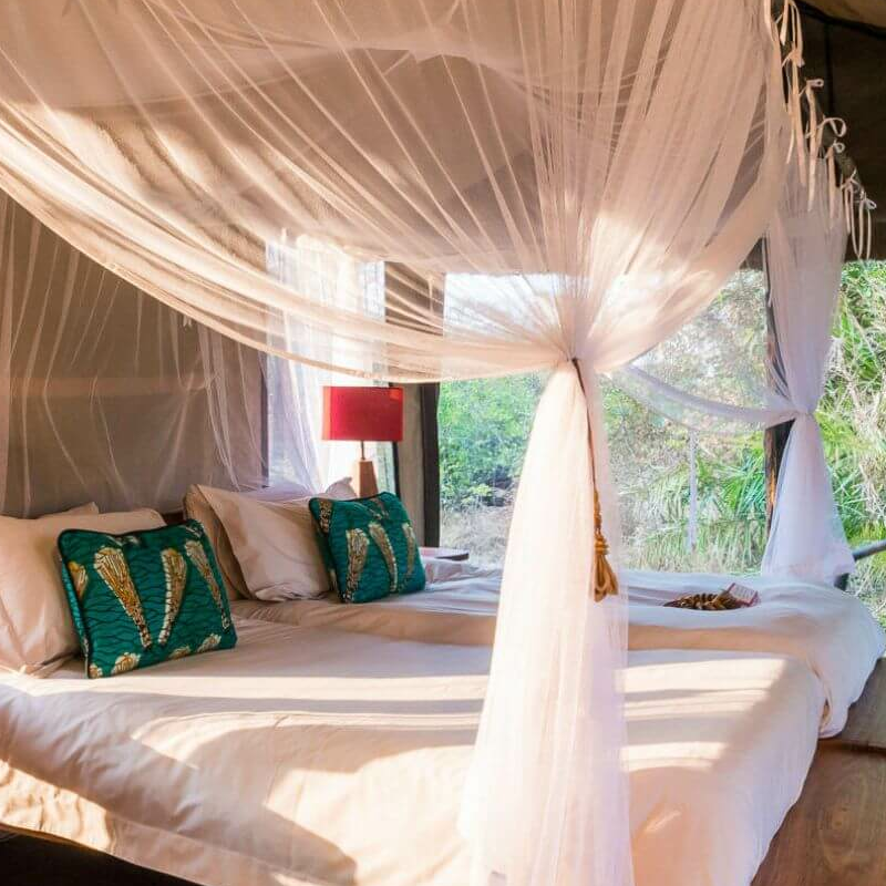 Kaingu Safari Lodge