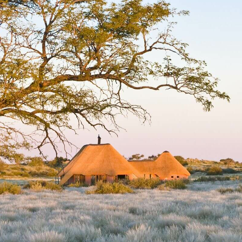 Kalahari Red Dunes