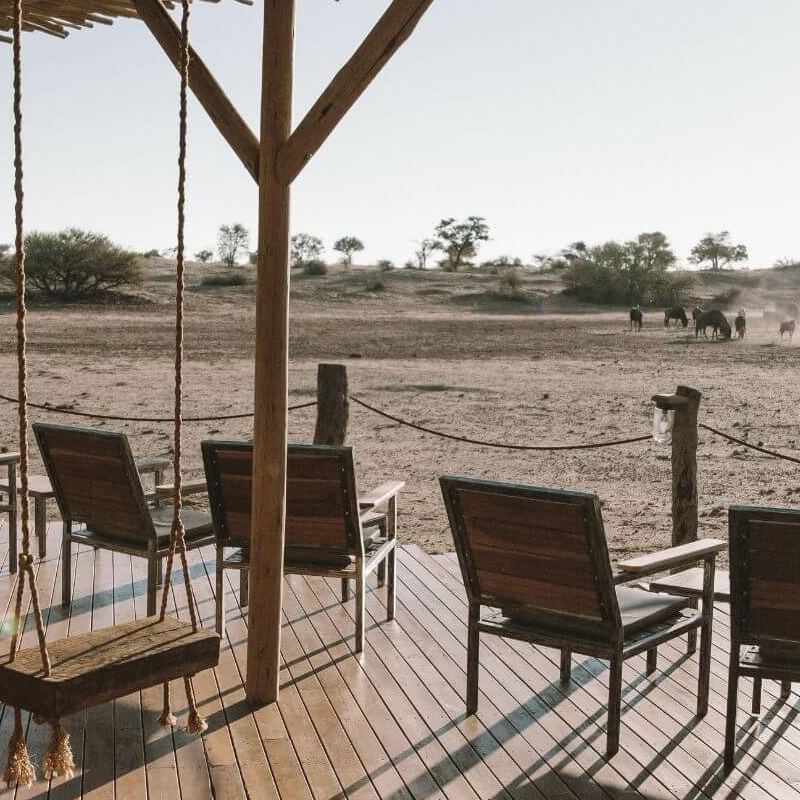 Kalahari Red Dunes