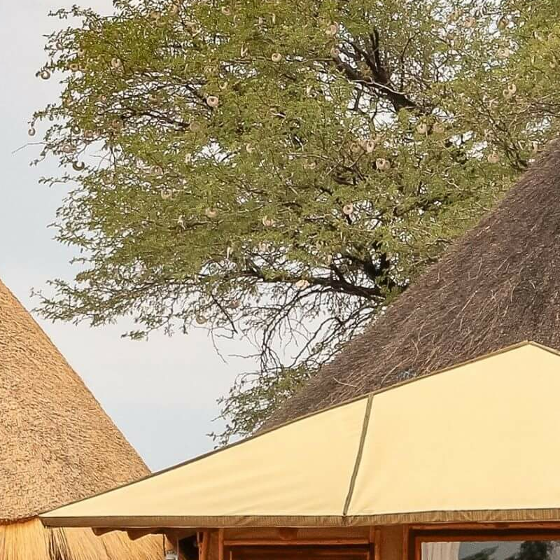 Kalahari Red Dunes