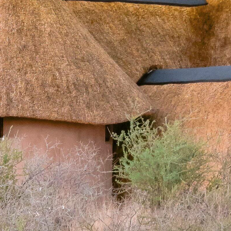 Kalahari Red Dunes