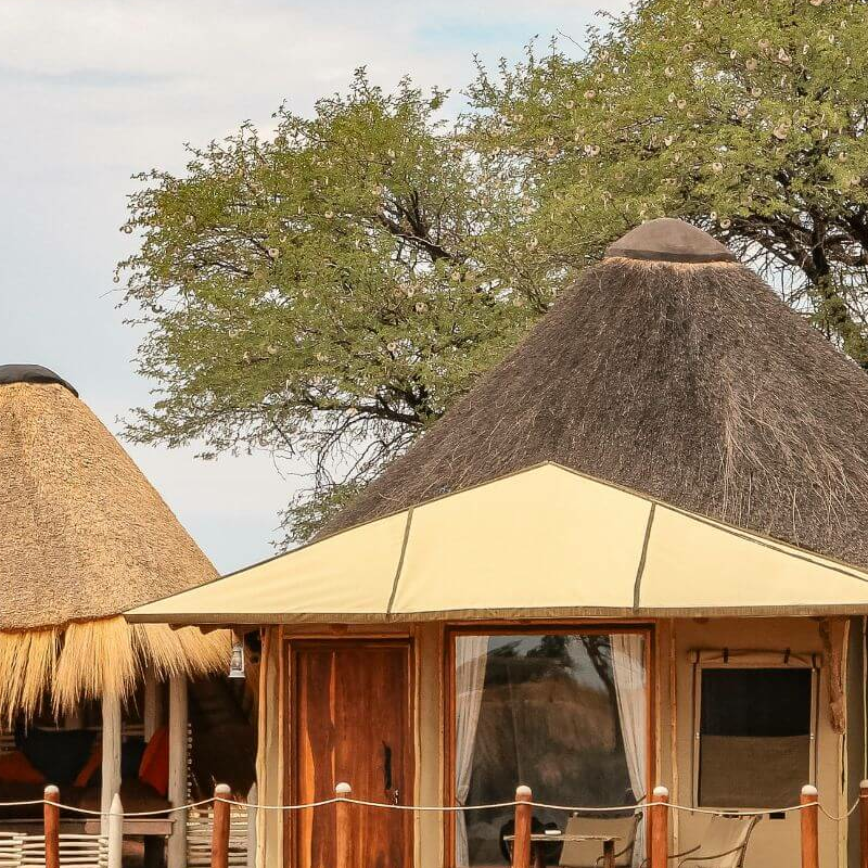 Kalahari Red Dunes