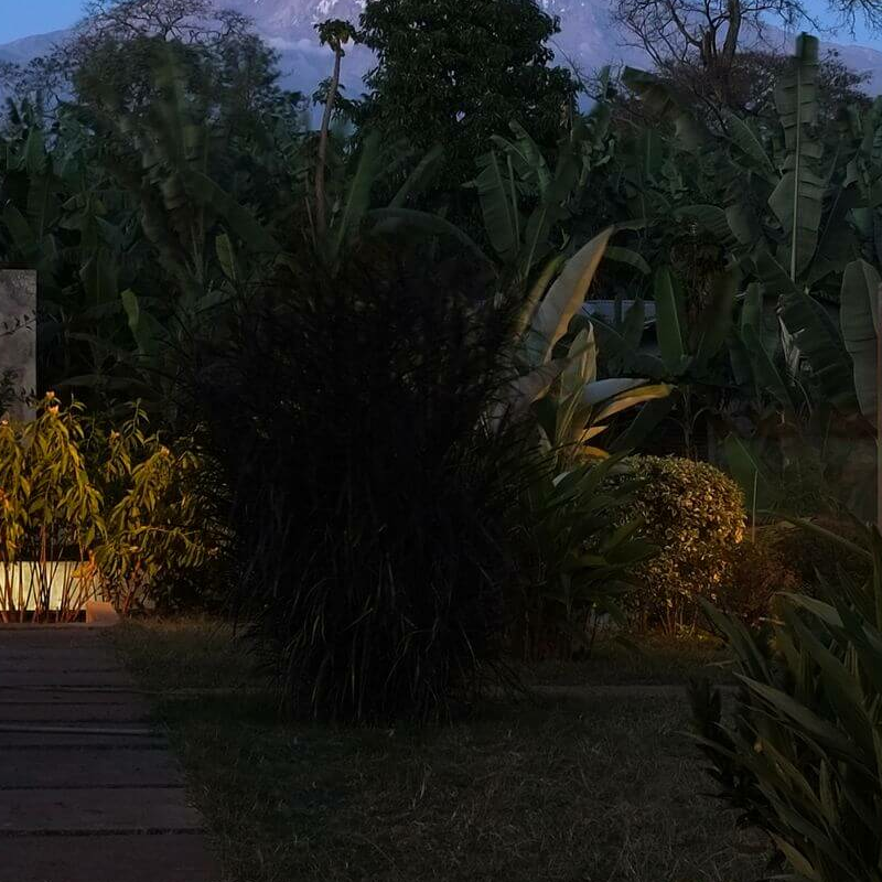 Kaliwa Lodge