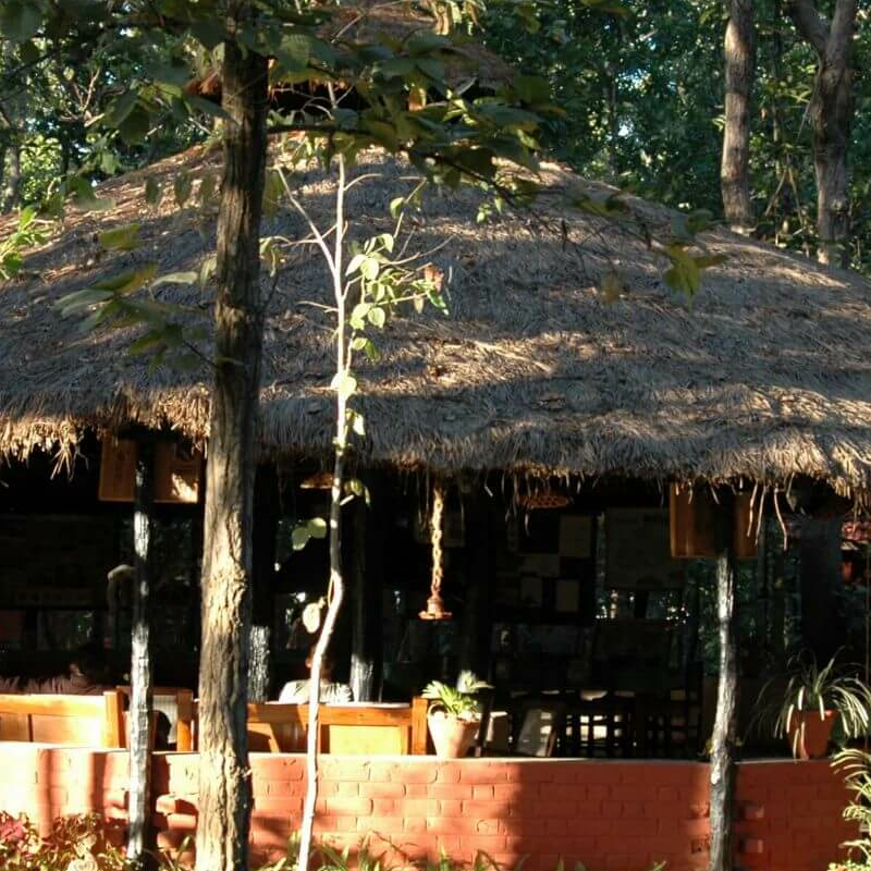 Kanha Jungle Lodge