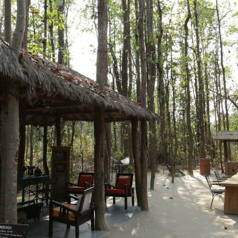 Kanha Jungle Lodge