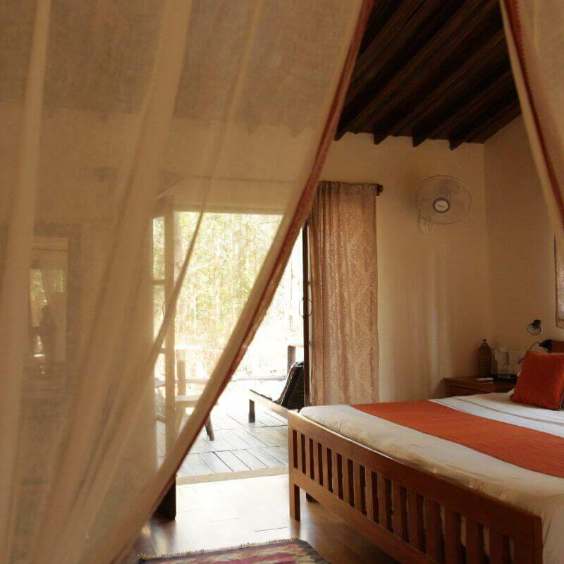 Kanha Jungle Lodge