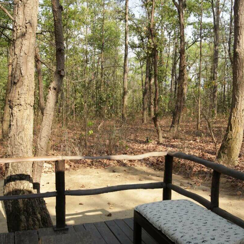 Kanha Jungle Lodge