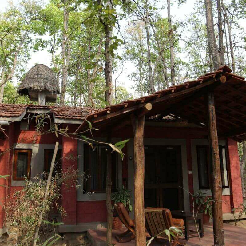 Kanha Jungle Lodge