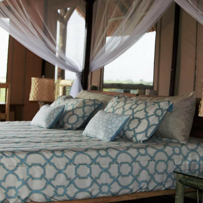 Kasenyi Safari Camp