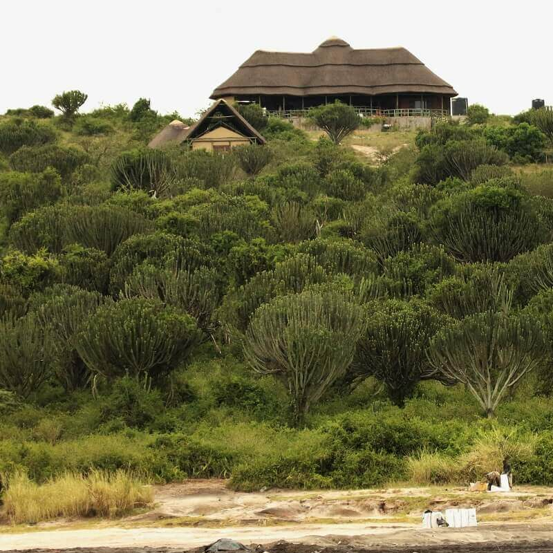 Kasenyi Safari Camp