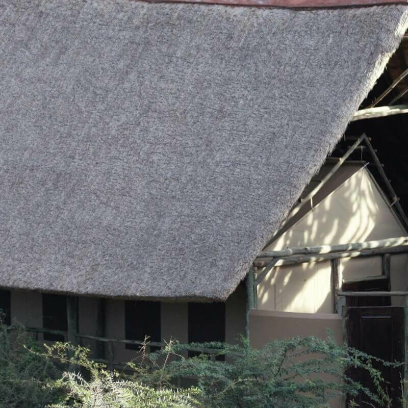 Kasenyi Safari Camp