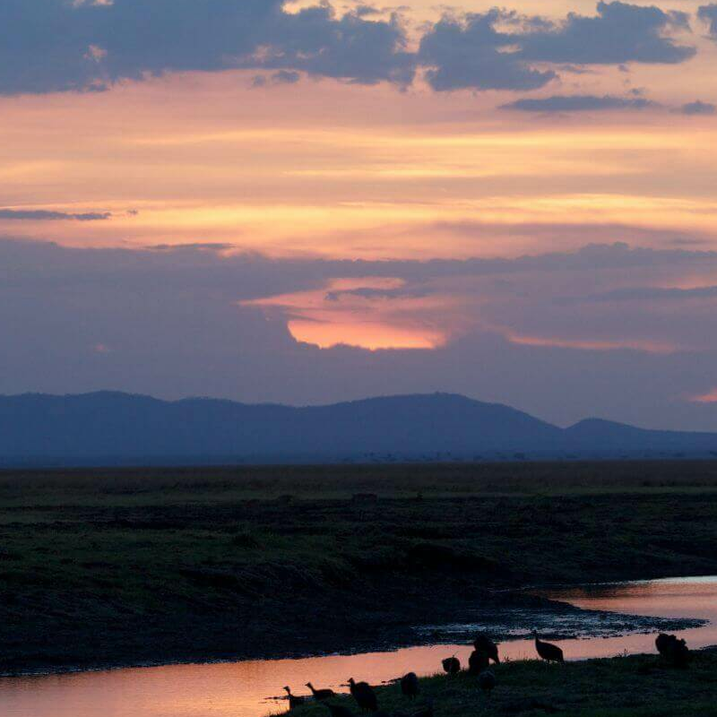 Katavi Wildlife Camp