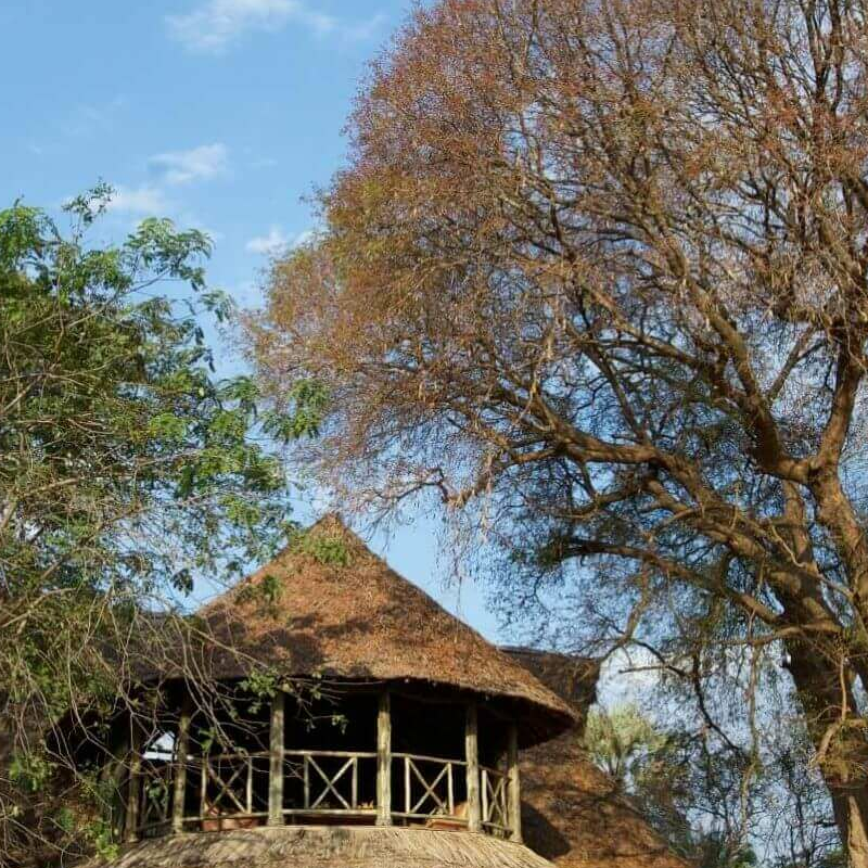 Katavi Wildlife Camp
