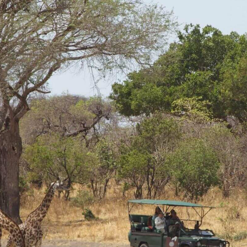 Katavi Wildlife Camp