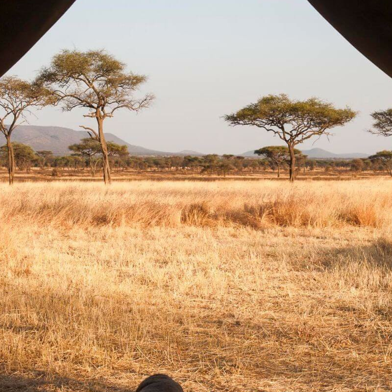 Kati Kati Camp