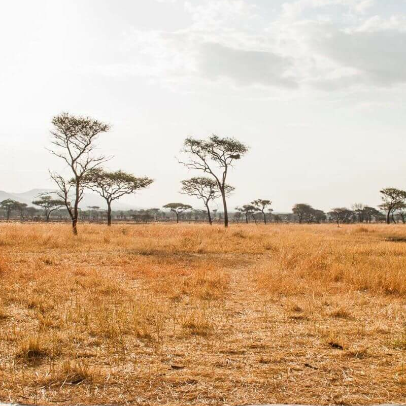 Kati Kati Mara Camp