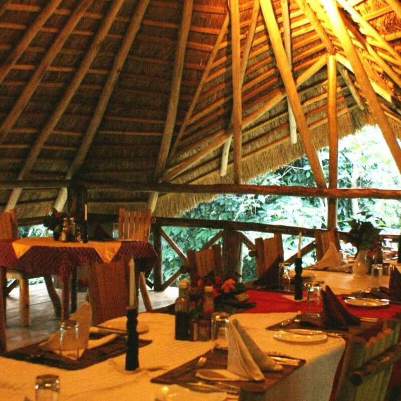Kibale Forest Camp