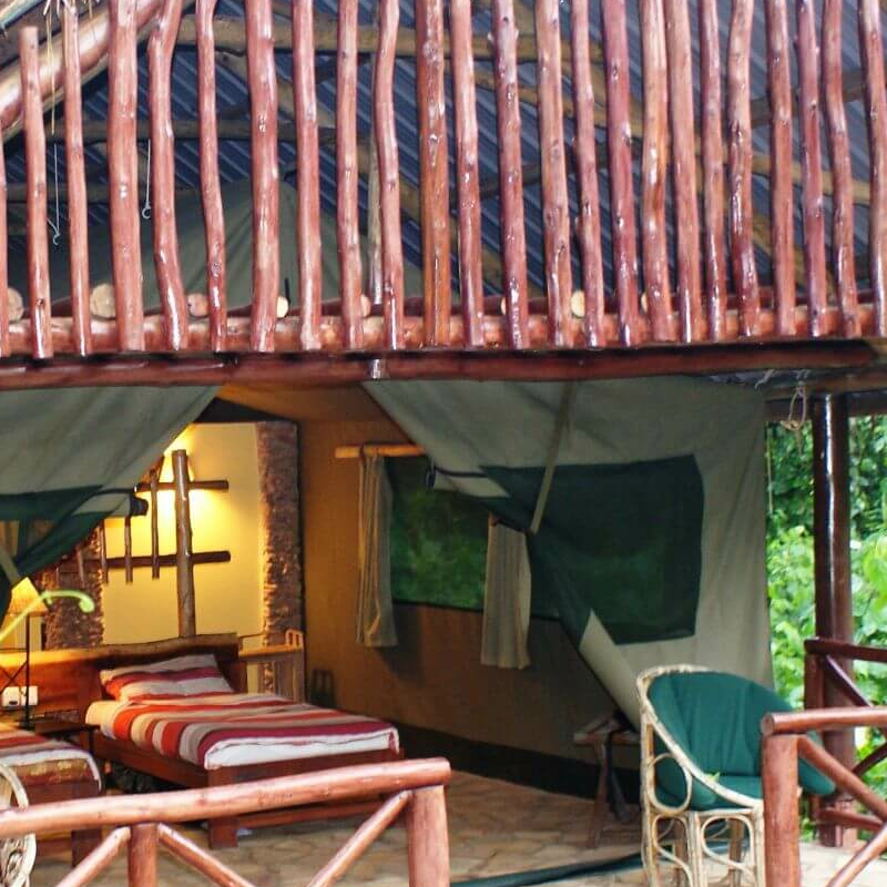 Kibale Forest Camp
