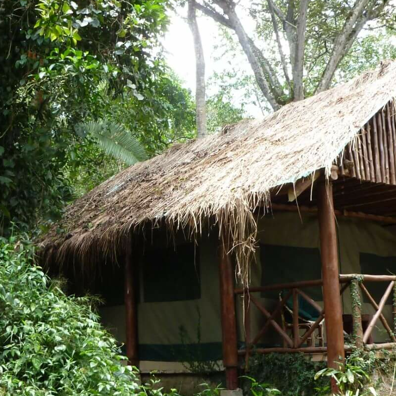 Kibale Forest Camp