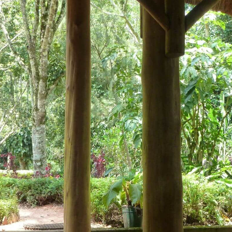 Kibale Forest Camp