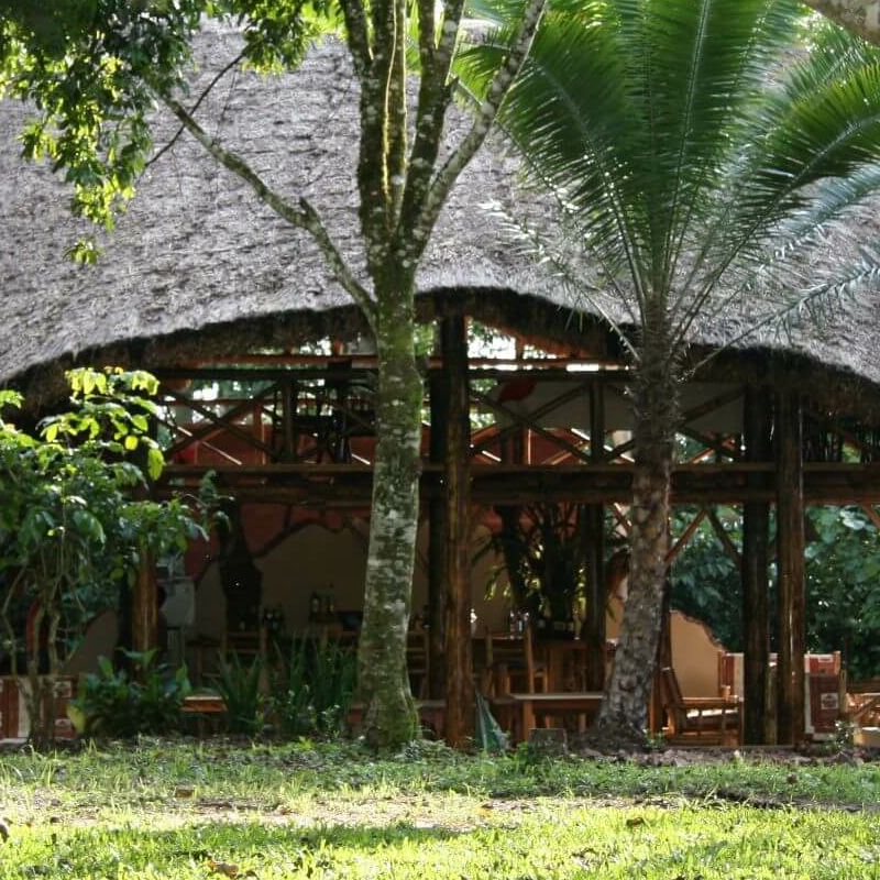 Kibale Forest Camp
