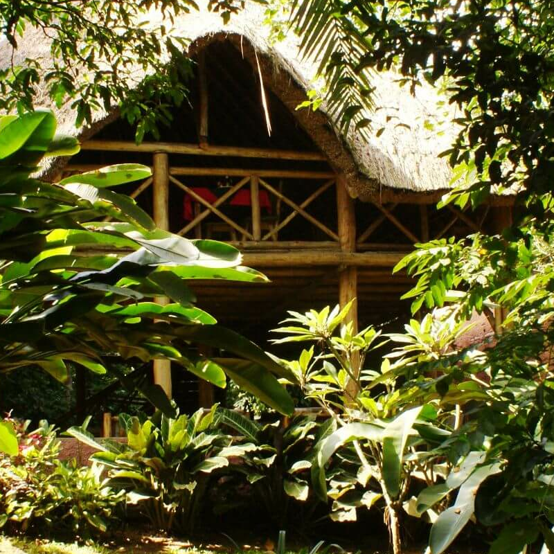 Kibale Forest Camp